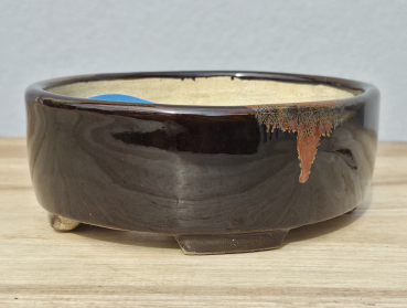 Preview: Tokoname Terahata Satomi 160mm × 130mm × 53mm